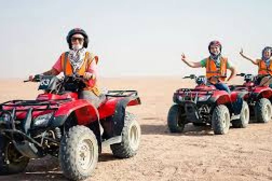 Quad Bike Safari (Safari)