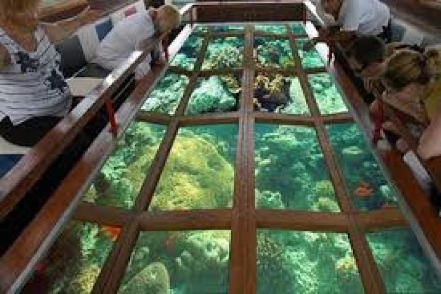 Glass Bottom Boat Tour in Sharm El Sheikh